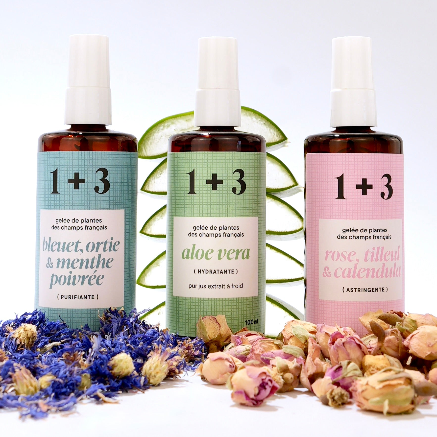 Photo des 3 gelées avec matières premières. De gauche à droite, fleurs de bleuet, tranches d'aloe vera et roses séchées