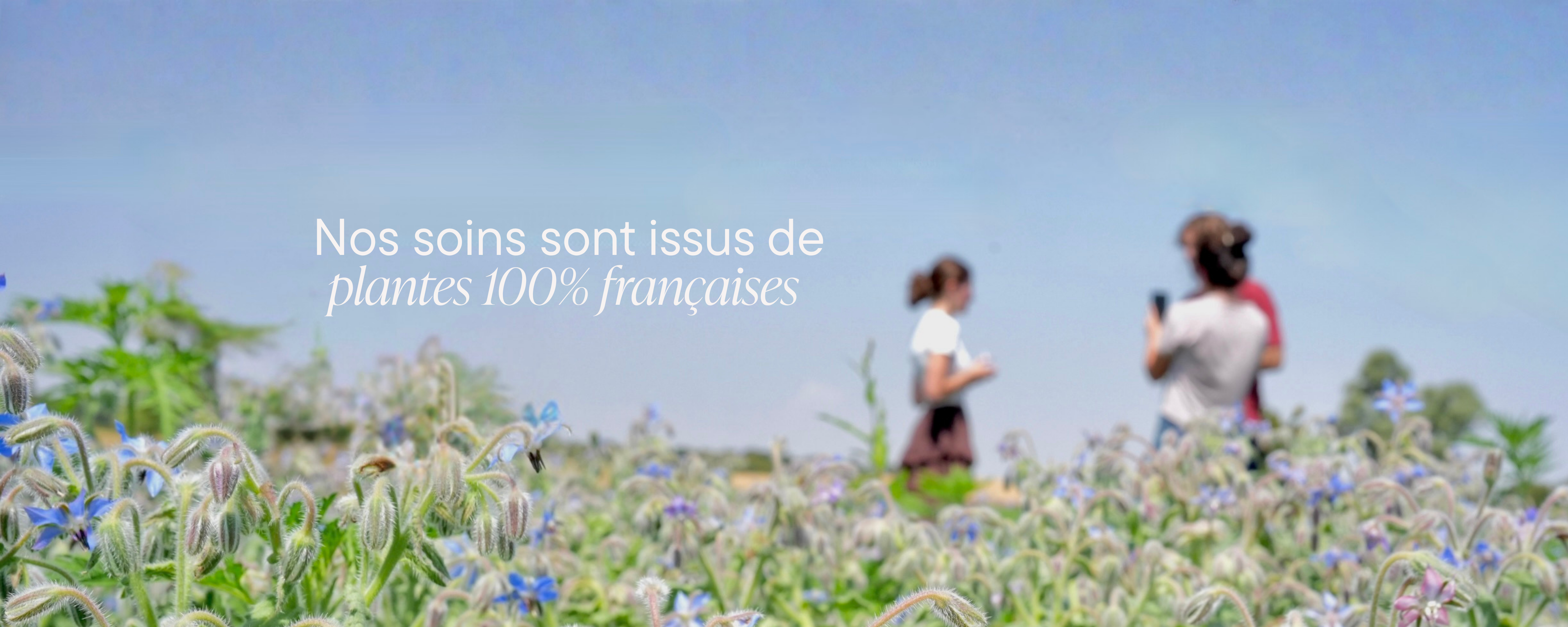 Nos soins sont issus de plantes 100% françaises - Photo champ