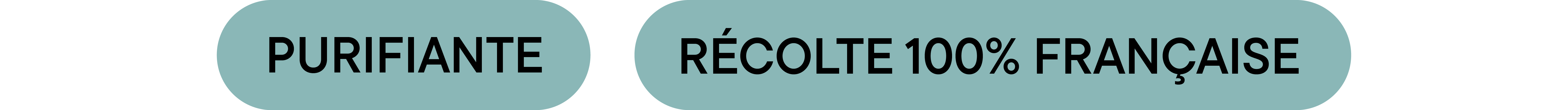 Gelée de bleuet, ortie & menthe poivrée - Badge couleur