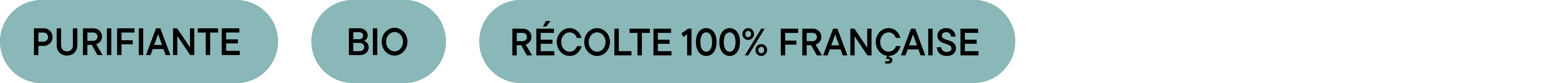 Badge visuel 1+3 avec les mentions “Purifiante”, “Bio” et “Récolte 100% française” – gelée naturelle au bleuet, ortie et menthe poivrée