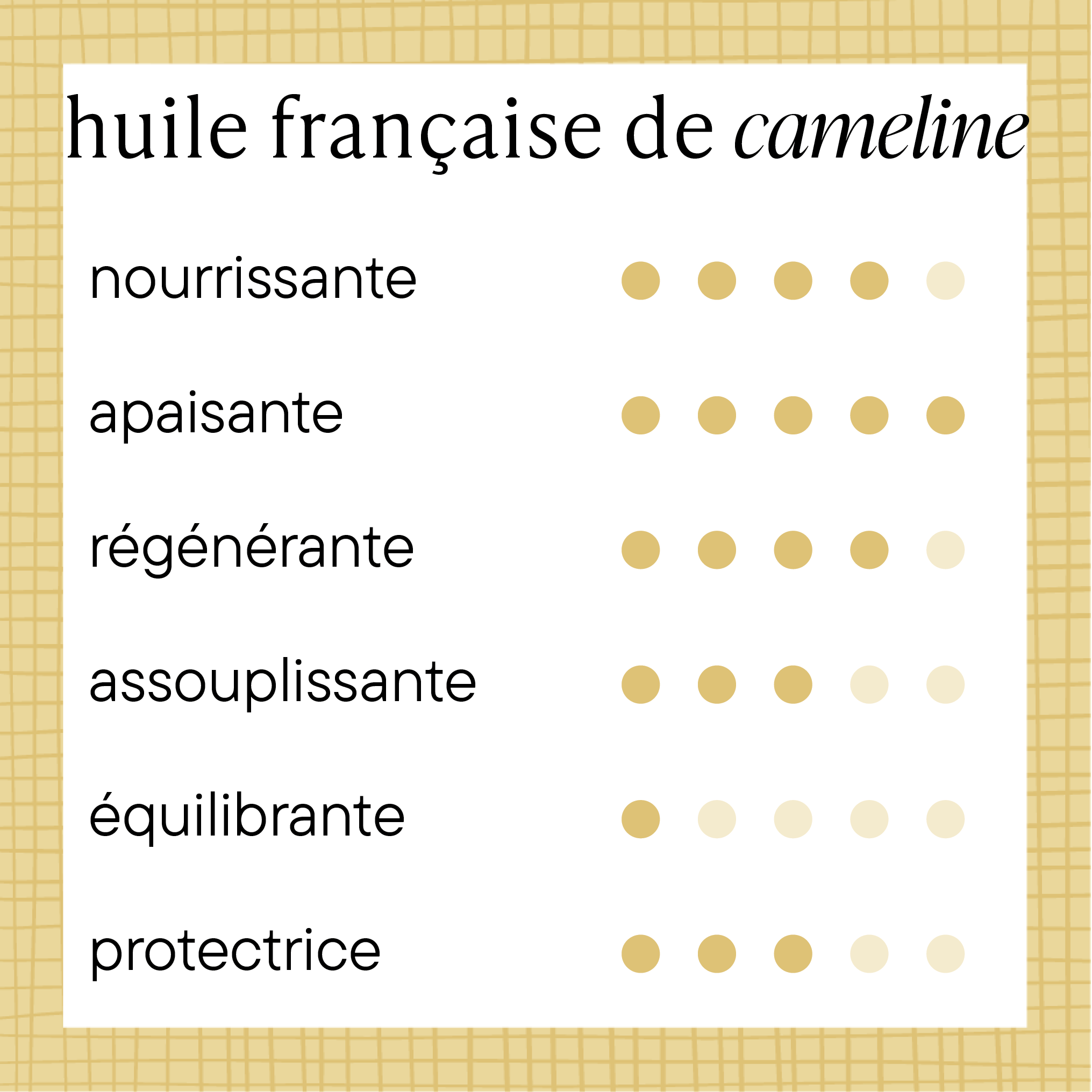 propriétés bourrache française 1+3, mieux, tout simplement un plus trois