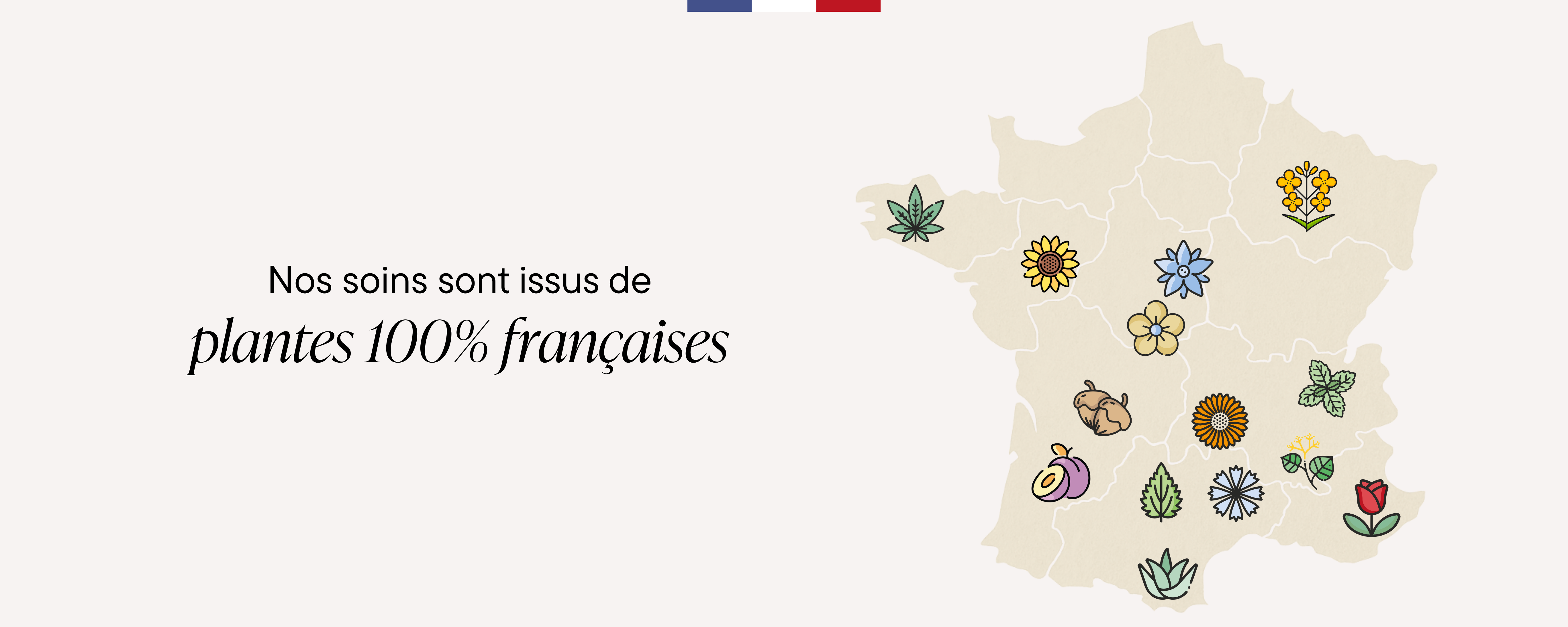 Nos soins sont issus de plantes 100% françaises 