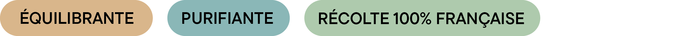 Badges du duo noisette + bleuet 1+3 – mentions “Équilibrante”, “Purifiante” et “Récolte 100% française”